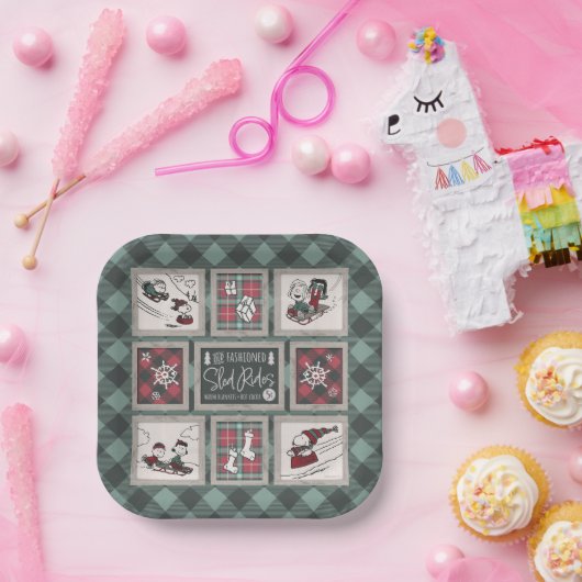 Erdnüsse | Alt modisches Schlittelwegmuster Pappteller (Party)