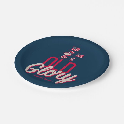 Erdnüsse | American Summer Old Glory Pappteller (Schrägansicht)