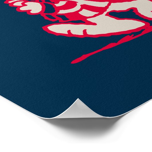 Erdnüsse | American Summer Old Glory Poster (Ecke)