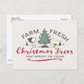 Erdnüsse | Bauernhof Frische Weihnachtsbaumen Postkarte (Vorne/Hinten)