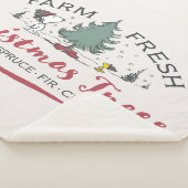 Erdnüsse | Bauernhof Frische Weihnachtsbaumen Sherpadecke (3/4)