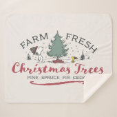 Erdnüsse | Bauernhof Frische Weihnachtsbaumen Sherpadecke (Vorderseite (Horizontal))
