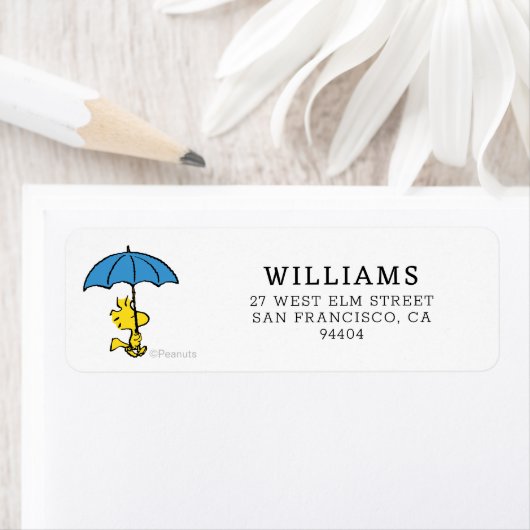 Erdnüsse | Blauer Waldstock (Insitu)