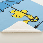 Erdnüsse | Blauer Waldstock Sherpadecke (3/4)