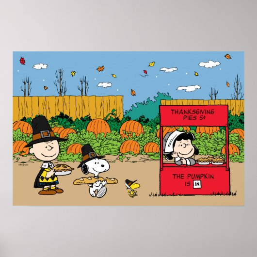 Erdnüsse | Charlie Brown Erntedank Poster (Vorne)