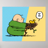 Erdnüsse | Charlie Brown & Woodstock Half & Half Poster (Vorne)