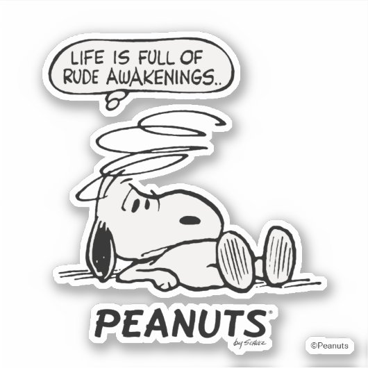 Erdnüsse | Das Leben ist voll von Rude Awakenings Aufkleber (Vorderseite)