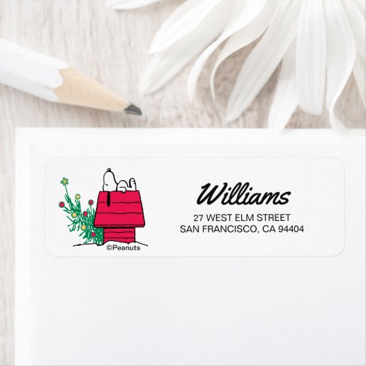 Erdnüsse | Feierlich sein (Insitu)