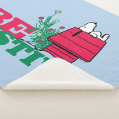 Erdnüsse | Feierlich sein Sherpadecke (3/4)