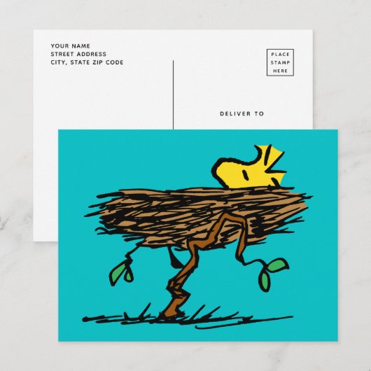 Erdnüsse | Holzabsperrung Postkarte (Vorne/Hinten)