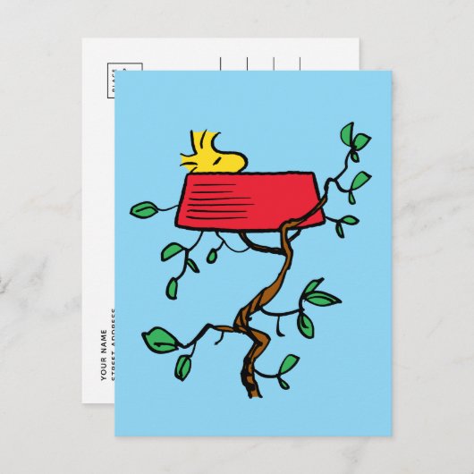 Erdnüsse | Holzeinschlag in Snoopy's Dish Postkarte (Vorne/Hinten)
