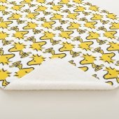 Erdnüsse | Holzmuster Sherpadecke (3/4)