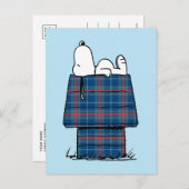 Erdnüsse | Karierte Flannel Ferienhaus Hunde Snoop Postkarte (Vorne/Hinten)