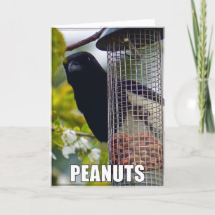 Erdnüsse oder Kuchen Magpie Geburtstagskarte Karte