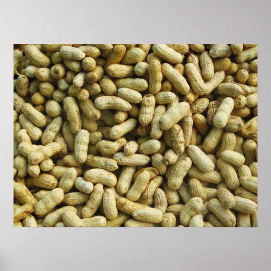 Erdnüsse Poster (Vorne)