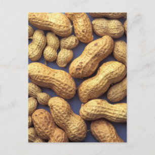 Erdnüsse Postkarte