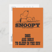 Erdnüsse | Schlafen in der Sonne Postkarte (Vorne/Hinten)