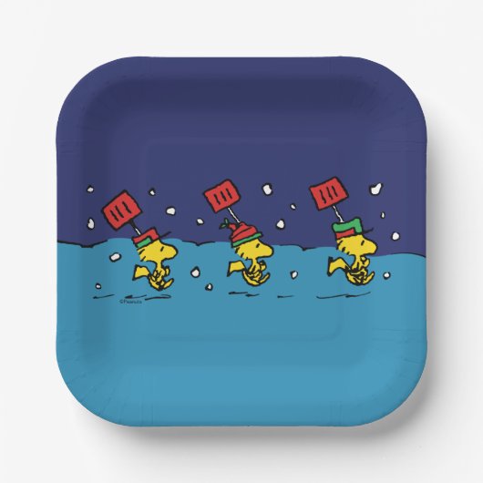 Erdnüsse | Schneeschuh-Team für Wälder Pappteller (Vorderseite)