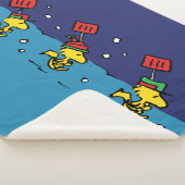 Erdnüsse | Schneeschuh-Team für Wälder Sherpadecke (3/4)