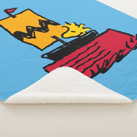 Erdnüsse | Seeschiff aus Holz Sherpadecke (3/4)