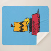 Erdnüsse | Seeschiff aus Holz Sherpadecke (Vorderseite (Horizontal))