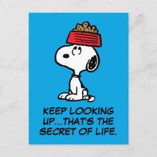 Peanuts Snoopy Woodstock Und Die Hundehütte Aufkleber Sticker