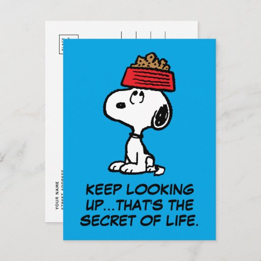 Erdnüsse | Snoopy Balancing Sein Dog Disc Postkarte (Vorne/Hinten)