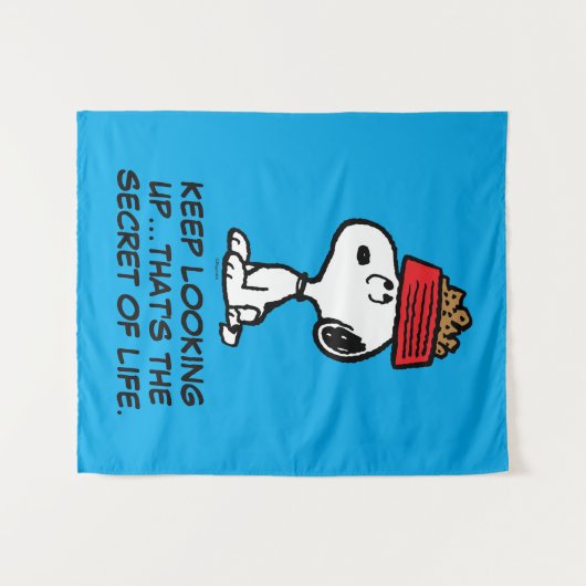 Erdnüsse | Snoopy Balancing Sein Dog Disc Wandteppich (Vorderseite (Horizontal))