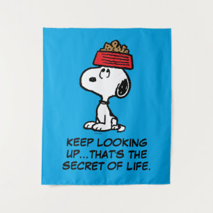 Erdnüsse Snoopy Balancing Sein Dog Disc Wandteppich