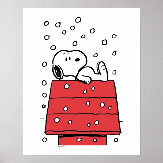 Erdnüsse | Snoopy Doghouse Snowflakes Poster (Vorne)