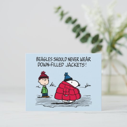 Erdnüsse | Snoopy & Linus Abgefüllte Jacket Postkarte (Stehend Vorderseite)