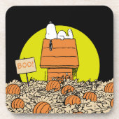 Erdnüsse | Snoopy Napping im Pumpkinpflaster Getränkeuntersetzer (Vorderseite)