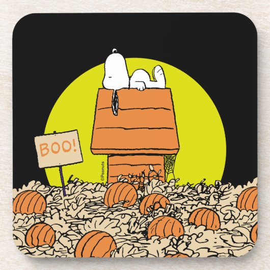 Erdnüsse | Snoopy Napping im Pumpkinpflaster Getränkeuntersetzer (Vorderseite)
