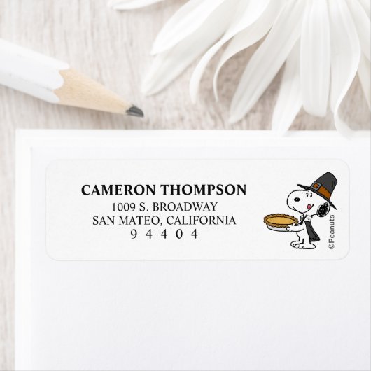 Erdnüsse | Snoopy Pilgrim (Insitu)