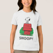 Erdnüsse | Snoopy Reston Doghouse Tri-Blend Shirt (Vorderseite)