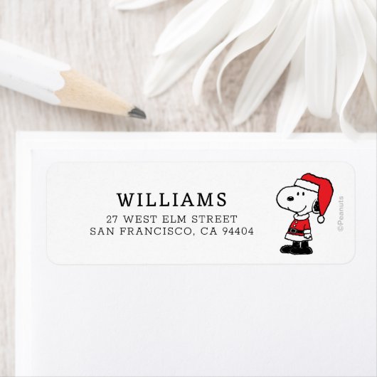 Erdnüsse | Snoopy Santa Claus (Insitu)