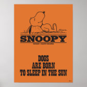 Erdnüsse | Snoopy schläft in der Sonne Poster (Vorne)