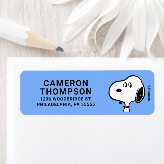 Erdnüsse | Snoopy sieht aus (Insitu)