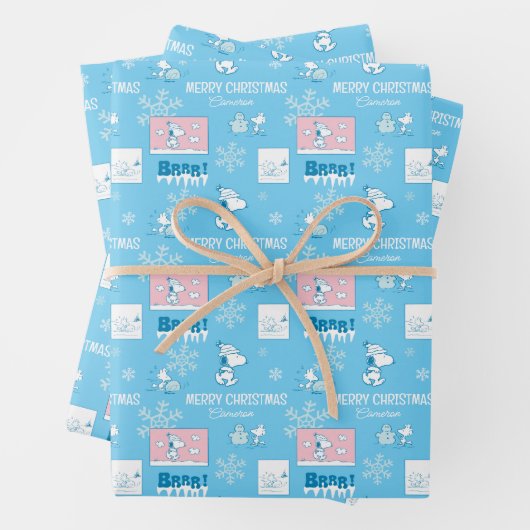 Erdnüsse | Snoopy Snow Day Patterns Geschenkpapier Set (Beispiel)