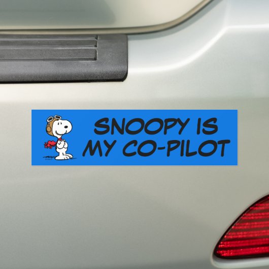 Erdnüsse | Snoopy the Fliegerace Autoaufkleber (Auf Auto)