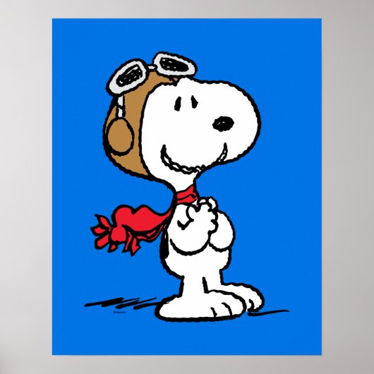 Erdnüsse | Snoopy the Fliegerace Poster (Vorne)