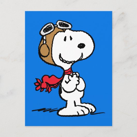 Erdnüsse | Snoopy the Fliegerace Postkarte (Vorderseite)
