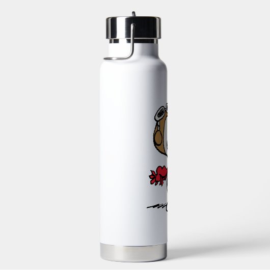 Erdnüsse | Snoopy the Fliegerace Trinkflasche (rechts)