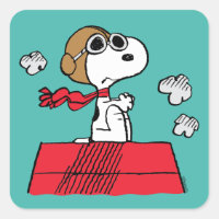 Erdnüsse | Snoopy the Flying Ace