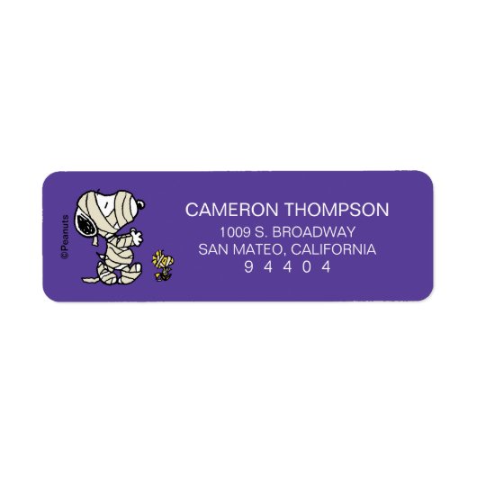 Erdnüsse | Snoopy und Waldmumies (Vorne)