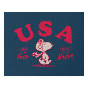 Erdnüsse   Snoopy USA Land of the Free Künstlicher Leinwanddruck