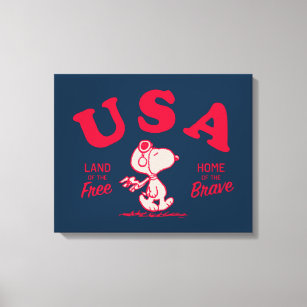 Erdnüsse   Snoopy USA Land of the Free Leinwanddruck