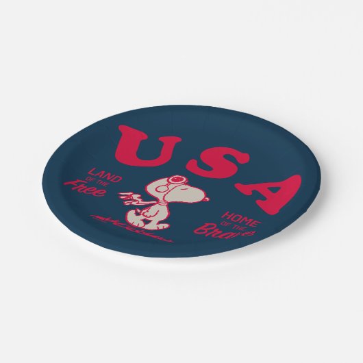 Erdnüsse | Snoopy USA Land of the Free Pappteller (Schrägansicht)