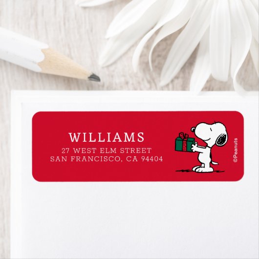 Erdnüsse | Snoopy Weihnachtsgeschenk (Insitu)