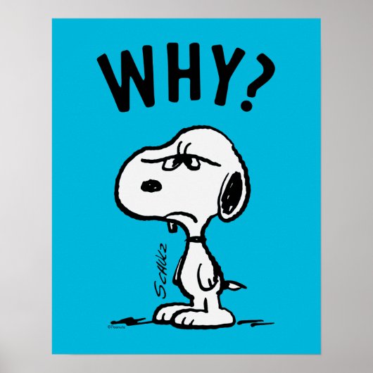 Erdnüsse | Snoopy Wonders Warum? Poster (Vorne)